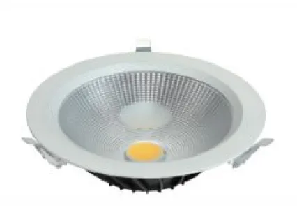 Down Light Sy-DL-COB-005 1 dl05